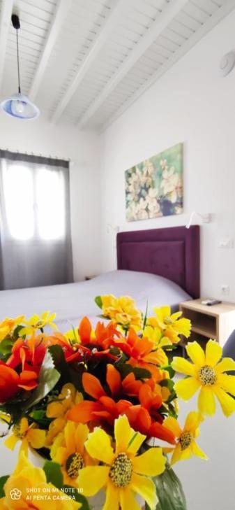 Mina Aparthotel Platys Gialos (Mykonos)